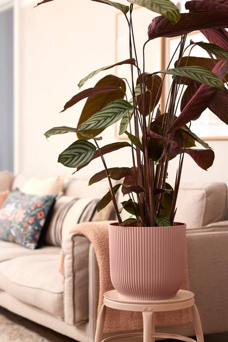 vibes fold round wheels 35cm delicate pink